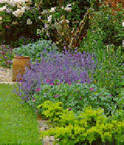 Perennial gardens and flowering beds